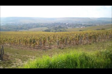 Nick's Wine Journal - Chablis, France