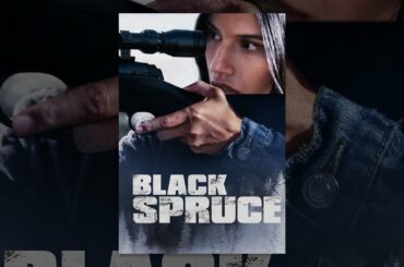 Black Spruce