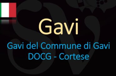 How to Pronounce Gavi? (CORRECTLY ) Italian Wine Pronunciation
