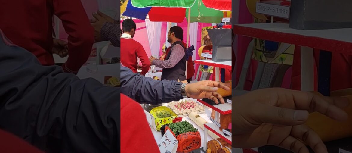 Explaining the functioning of Wine production – Activity 4 Explaining the functioning of Wine production - Activity 4