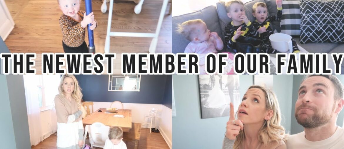 "THE NEWEST MEMBER OF OUR FAMILY" // BEASTON FAMILY VIBES "THE NEWEST MEMBER OF OUR FAMILY" // BEASTON FAMILY VIBES