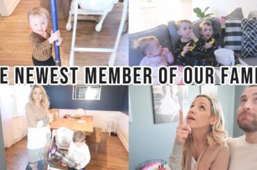 "THE NEWEST MEMBER OF OUR FAMILY" // BEASTON FAMILY VIBES