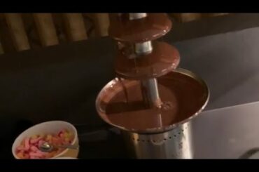 Dinner Buffet At Vienna House Dream Castle Paris, France