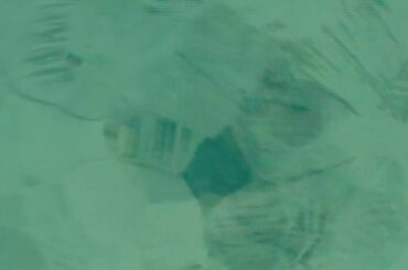 Faux Fur - PEACHTREES