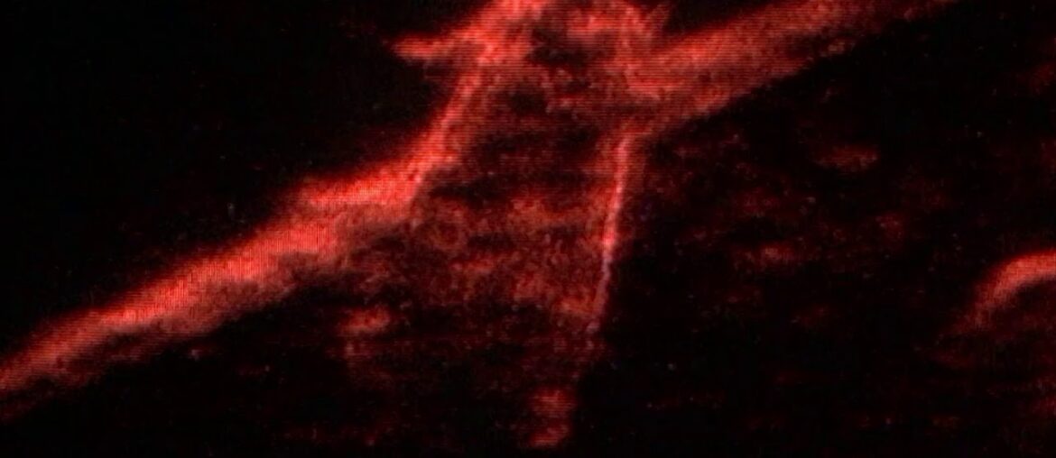 Faux Fur - BLUE LINES