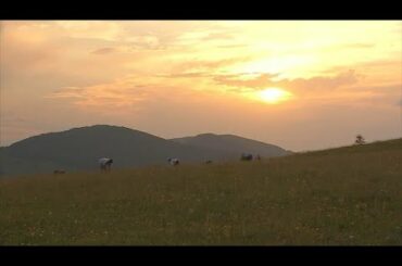 The treasures of France's Vosges region