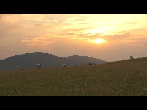 The treasures of France's Vosges region The treasures of France's Vosges region