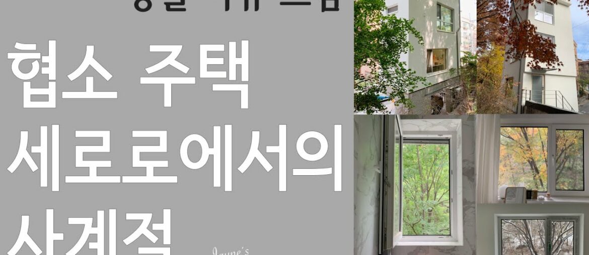 협소주택 세로로에서의 사계월 (feat. 서울 시내 동물 다큐) 협소주택 세로로에서의 사계월 (feat. 서울 시내 동물 다큐)