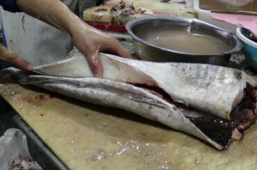 GIANT HAKE Fish Filleting Cleaning Skills
