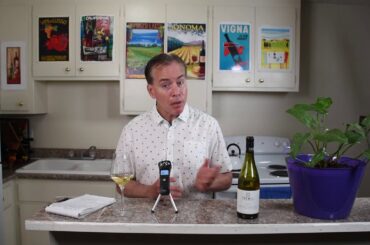 Budget Wine with Bacchus Bruce 2015 Maison Trenel Macon Village France Wine Tasting