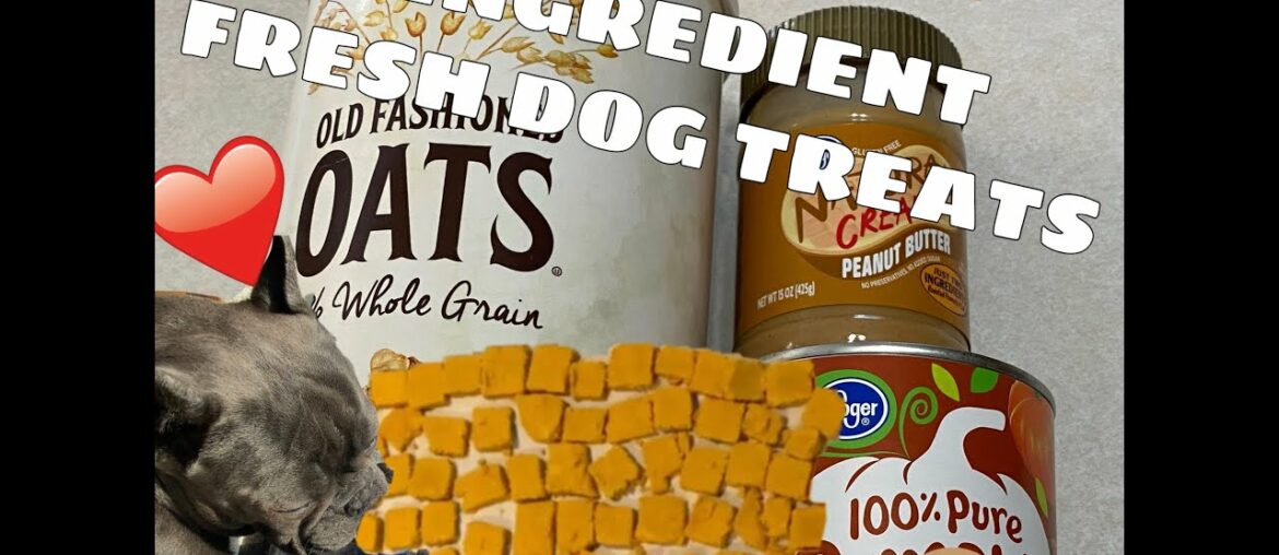 ONLY 3 INGREDIENT RECIPE FRESH DOG TREATS, WITH FRENCH BULLDOG AND BOSTON TERRIER
