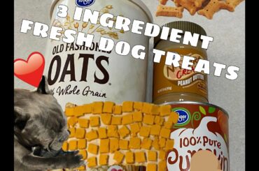 ONLY 3 INGREDIENT RECIPE FRESH DOG TREATS, WITH FRENCH BULLDOG AND BOSTON TERRIER