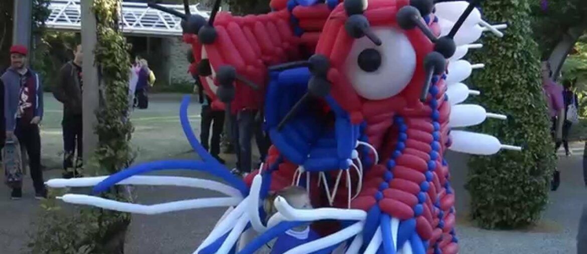 French Festival – Brisbane – South Bank French Festival - Brisbane - South Bank