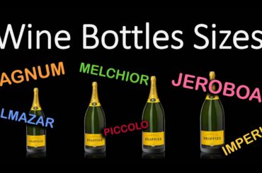 Complete Guide to Wine Bottle Sizes! (small to EXTRA-LARGE FORMAT)