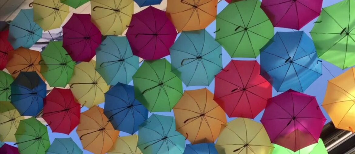 Bordeaux-France, 2019