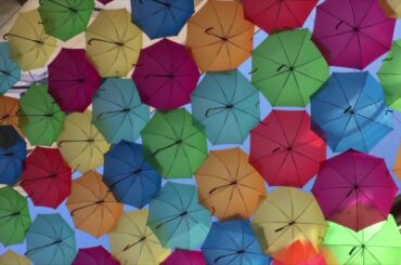 Bordeaux-France, 2019