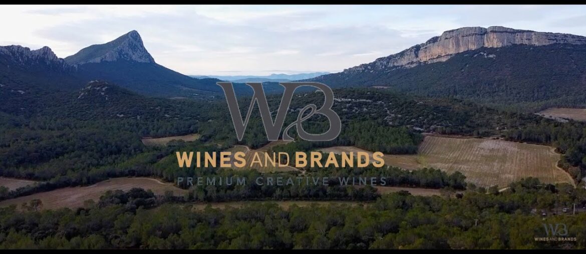 Presentation Wines and Brands Presentation Wines and Brands