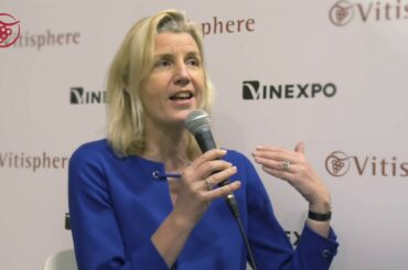 Les vins de France ont 10 ans