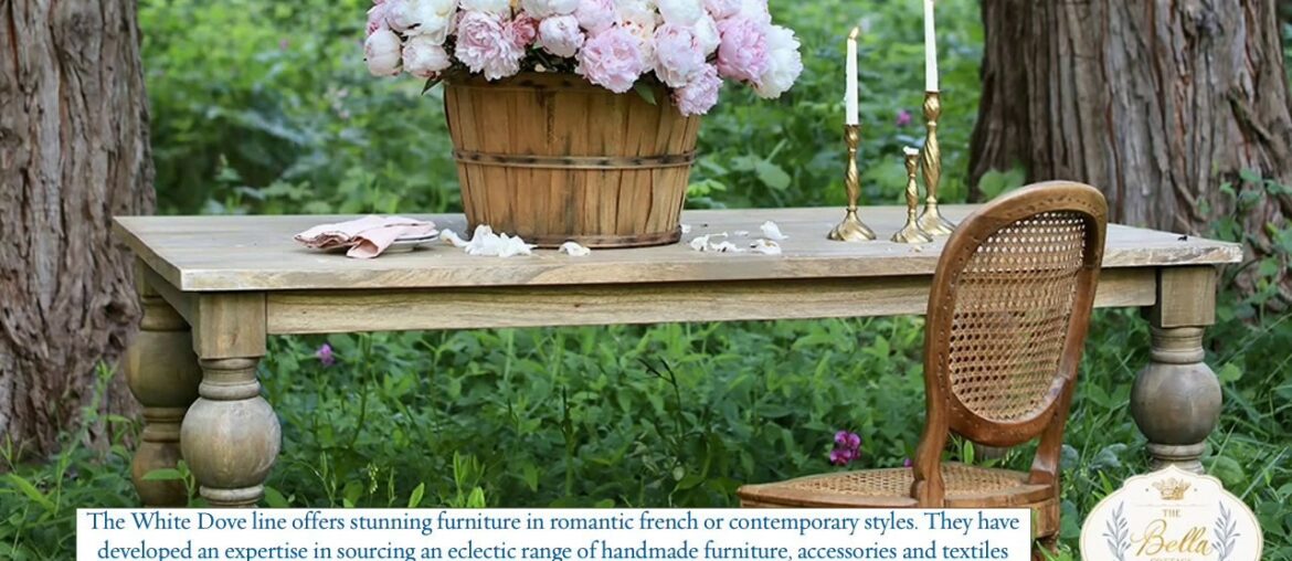 White Dove at The Bella Cottage