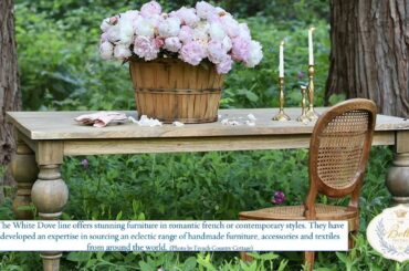 White Dove at The Bella Cottage