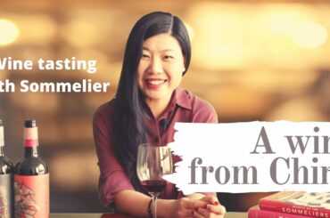 Wine Tasting: A wine from China (Skyline of Gobi)