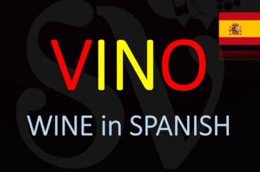 How to say wine in Spanish | How to Pronounce Vino? | Translation