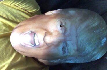 Globalist Capitalist VS Globalist Communist AOC French Wine