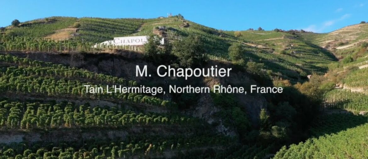 Northern Rhône and Maison M  Chapoutier