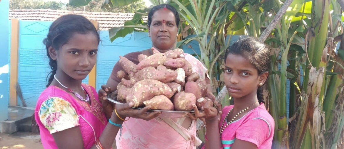 SWEET POTATO Masala fry | Aachi Gramathu Samayal | Fry recipes in tamil | Healthy Dish