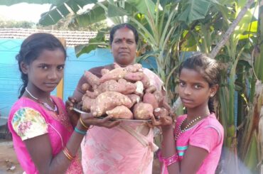 SWEET POTATO Masala fry | Aachi Gramathu Samayal | Fry recipes in tamil | Healthy Dish
