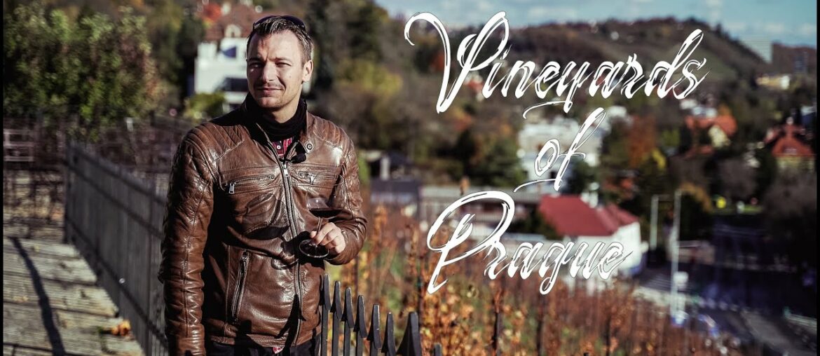 Vineyards of Prague Vineyards of Prague