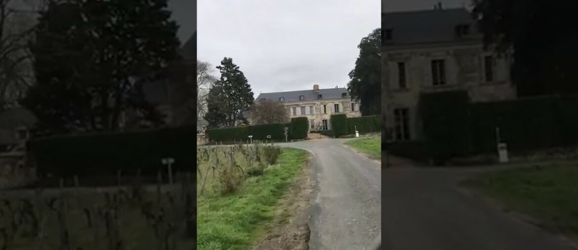 Bourgueil winery Château