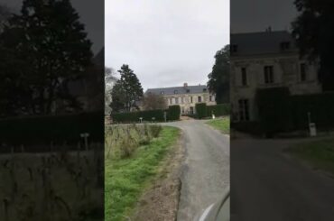 Bourgueil winery Château