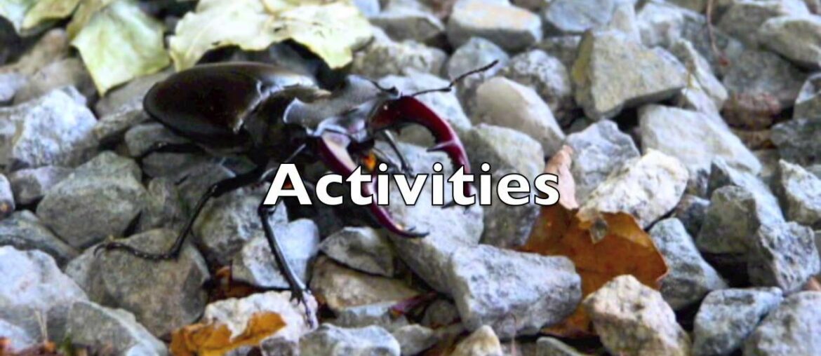 Le Moulin de la Touche Holiday Properties – www.millinthemeadow.co.uk Le Moulin de la Touche Holiday Properties - www.millinthemeadow.co.uk