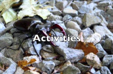 Le Moulin de la Touche Holiday Properties - www.millinthemeadow.co.uk