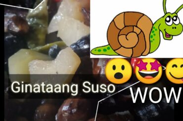 " GINATAANG SUSO " ( snail recipe )