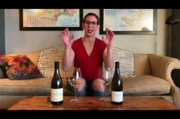 Episode 8: Old World vs. New World Chardonnay Tasting