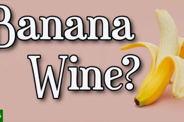 Banana Wine Recipe - Easy Homemade Banana Wine