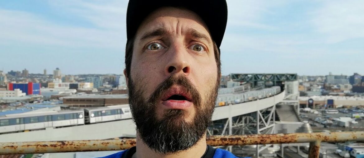 HIPPO – LAST DAY IN BROOKLYN HIPPO - LAST DAY IN BROOKLYN