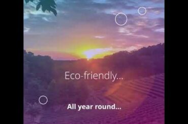 Château La Castille - A certified Eco-friendly Wine Estate... somewhere in PROVENCE...!