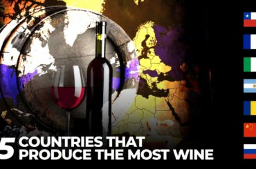 15 countries that produce the most wine in the world!