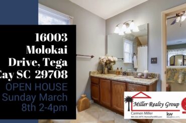 16003 Molokai Drive, Tega Cay SC  29708