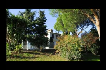 Vineyard For Sale Languedoc Roussillon France