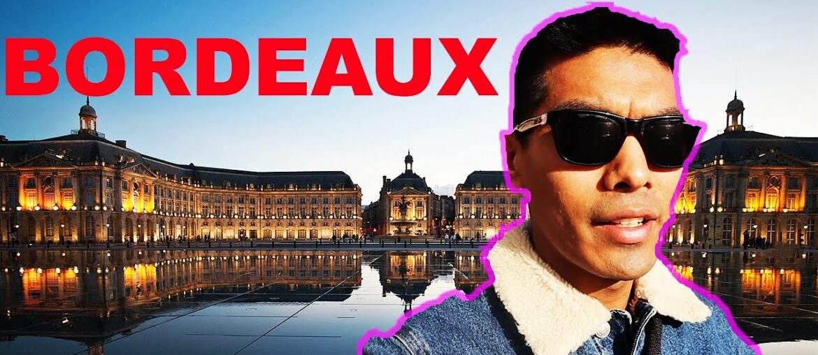 What's up Bordeaux ? 2020/Travel/France/Europe/Nepali Traveller/Travel Vlog/French wine/Wine capital