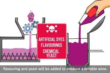 Why are there so many chemicals in wine?