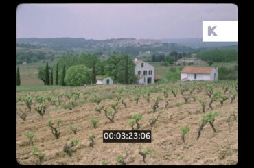 1970s Côtes de Provence Vineyard, France, 16mm