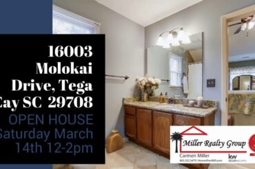 16003 Molokai Drive, Tega Cay SC  29708