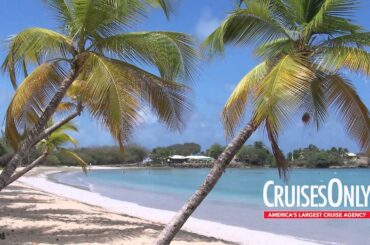 Explore The Island Of Martinique In The Caribbean - CruisesOnly.com