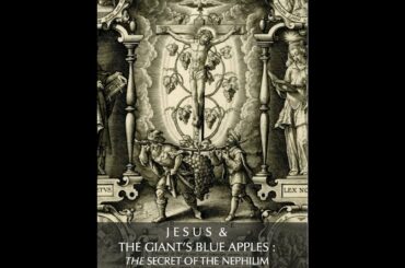 VitiCulture The Sprit of Alchemy Ame Amy Soul Wine House Part II