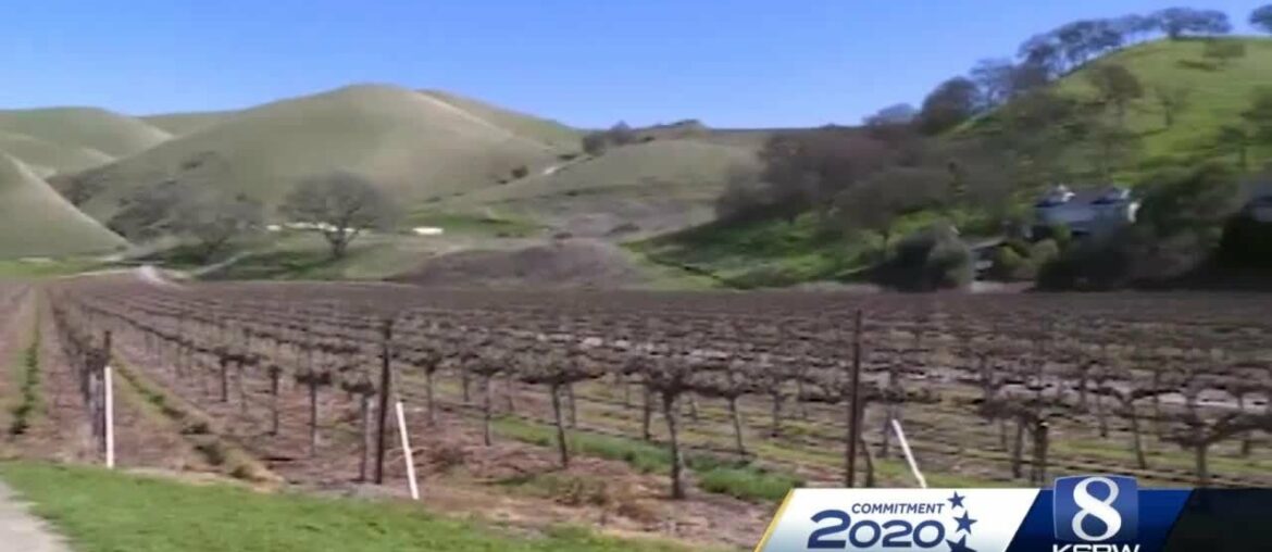 These 50 States: How the trade war is impacting California